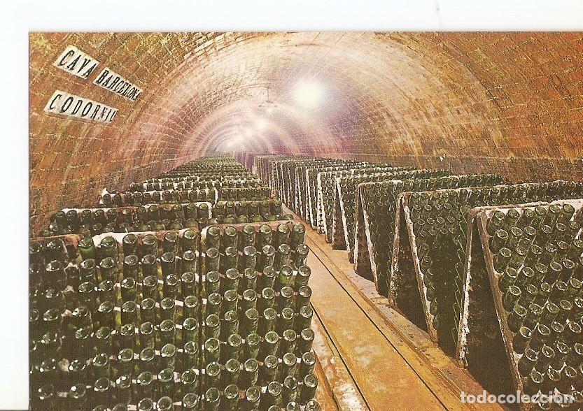 Postales: Postal 023833 : Botellas en pupitre. Cavas Codorniu - Varios