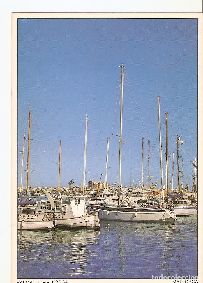 Postcards: Postal 024254 : Puerto de Palma y Catedral - Mallorca - Varios