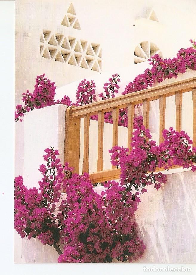 Postales: Postal 024847 : Greece - Varios - Foto 1