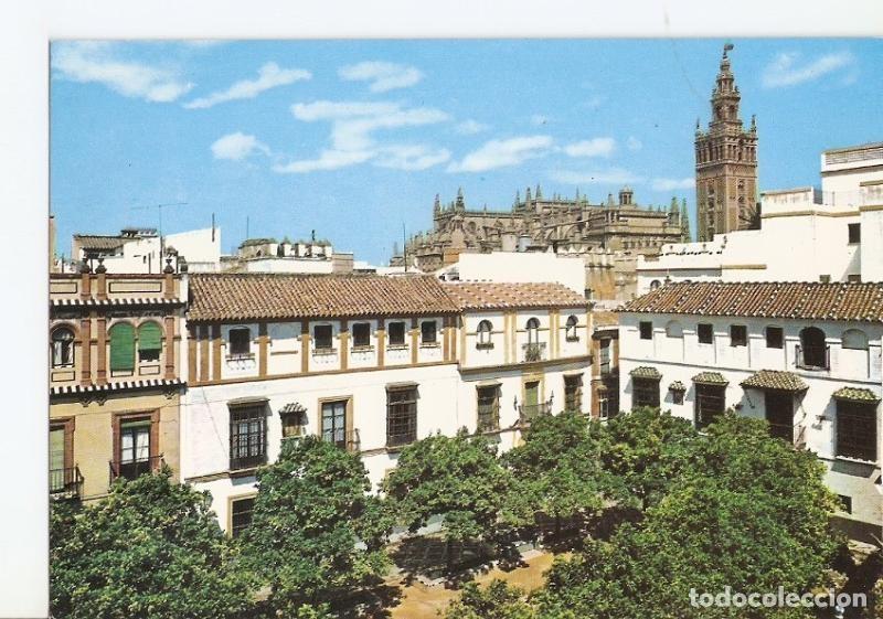 Postkarten: Postal 026559 : Sevilla - Varios