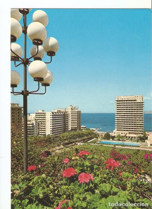 Postales: Postal 029635 : Puerto de la Cruz Flores y Hoteles - Tenerife - Varios