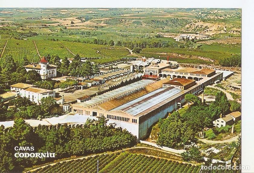 Postales: Postal 030377 : Cavas Codorniu. Exteriores - Varios