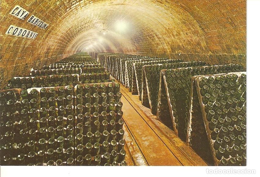 Postales: Postal 030379 : Cavas Codorniu. Botellas en pupitre - Varios