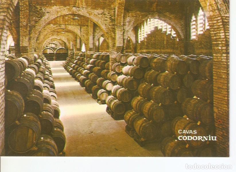 Postales: Postal 030622 : Una bodega. Monumento Nacional. Cavas Codorniu - Varios