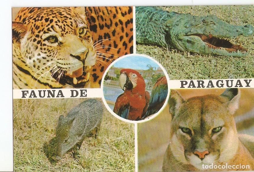 Postkarten: Postal 030684 : Paraguay. Fauna - Varios