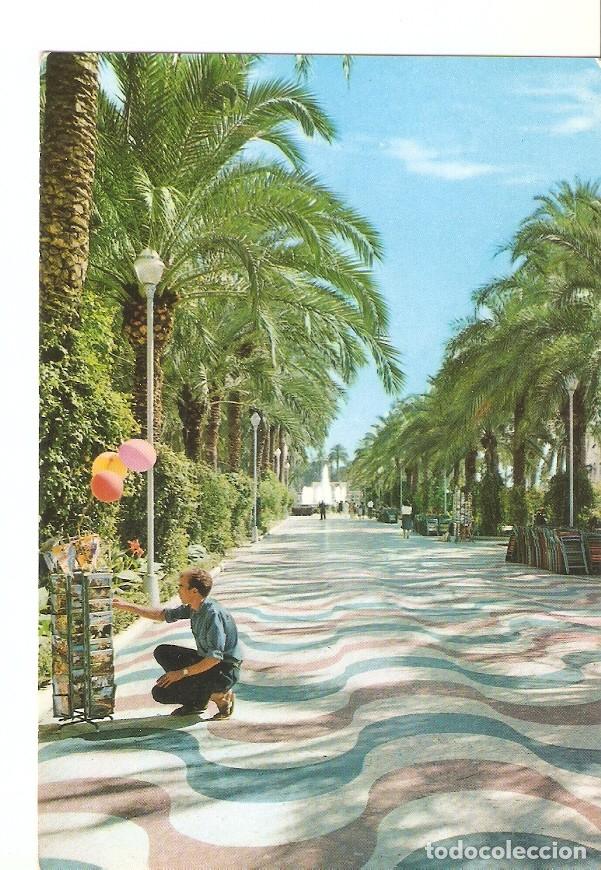 Postcards: Postal 030989 : Alicante. La Explanada - Varios