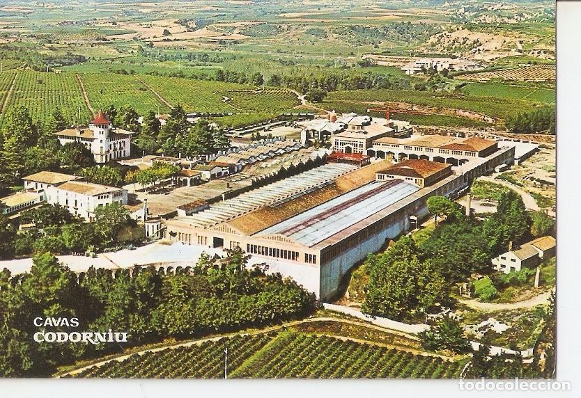 Postales: Postal 031648 : Cavas Codorniu. Exteriores - Varios