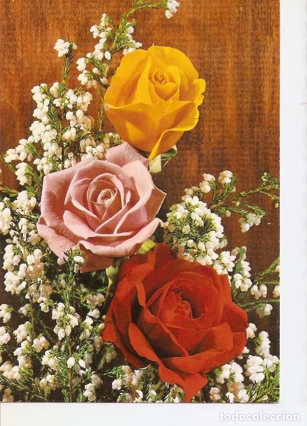 Postales: Postal 031700 : Rosas - Varios - Foto 1