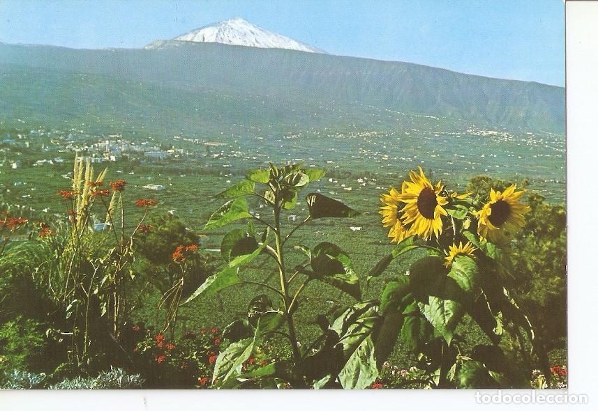 Postales: Postal 033212 : Tenerife. Valle de la Orotava y Teide - Varios