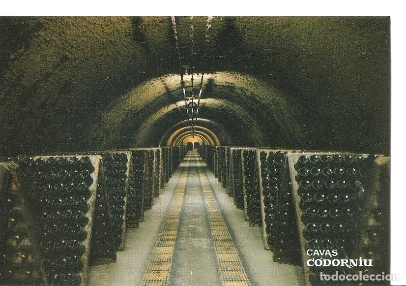 Postales: Postal 033968 : Cavas Codorniu. Botellas en pupitre - Varios