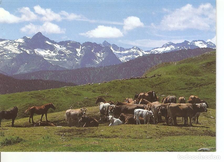 Postkarten: Postal 033964 : Pla Beret (Orri). Val dAran (Lleida) - Varios