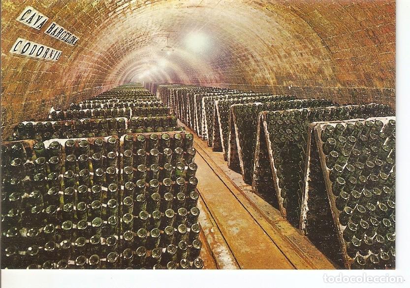 Postales: Postal 033970 : Cavas Codorniu. Botellas en pupitre - Varios
