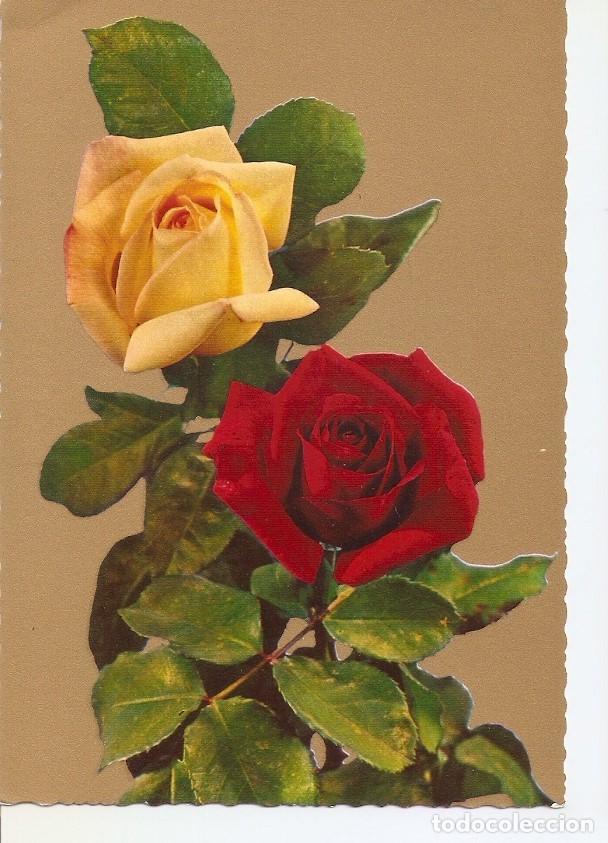 Postales: Postal 034942 : Rosas - Varios - Foto 1