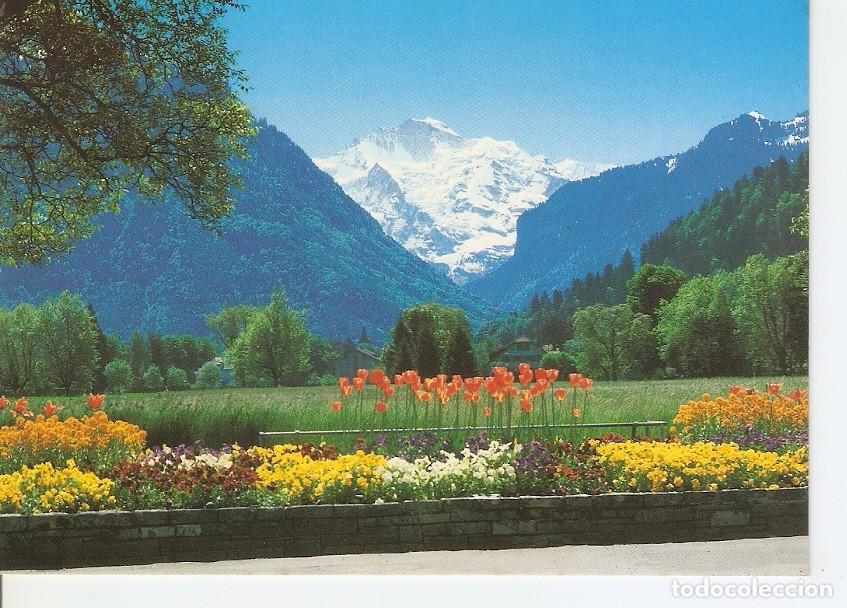 Cartoline: Postal 035088 : Interlaken. Blick auf Jungfrau - Varios