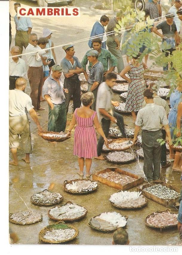 Postkarten: Postal 035543 : Costa Dorada - Tarragona. Cambrils. Pesca recien llegada - Varios