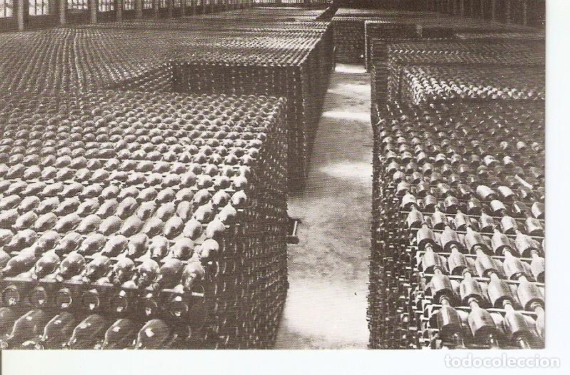 Postais: Postal 035804 : Casa Codorniu - San sadurni de Noya (Espa&ntilde;a). Botellas envejeciendo - Varios