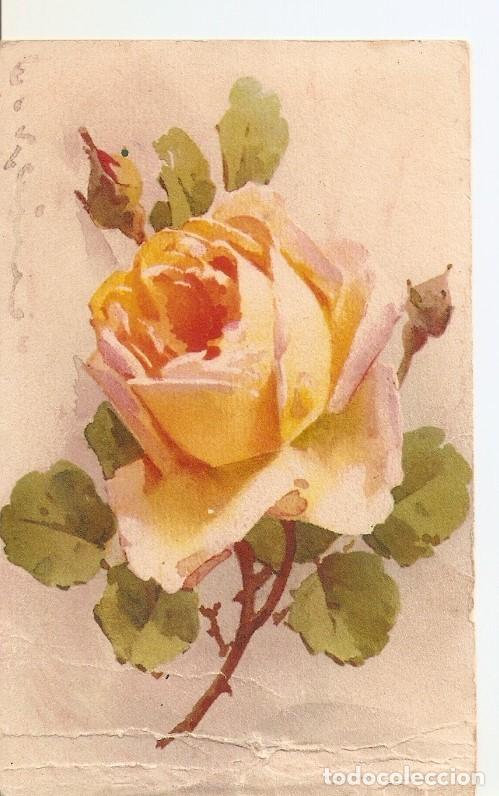 Postales: Postal 036326 : Rosa amarilla - Varios - Foto 1