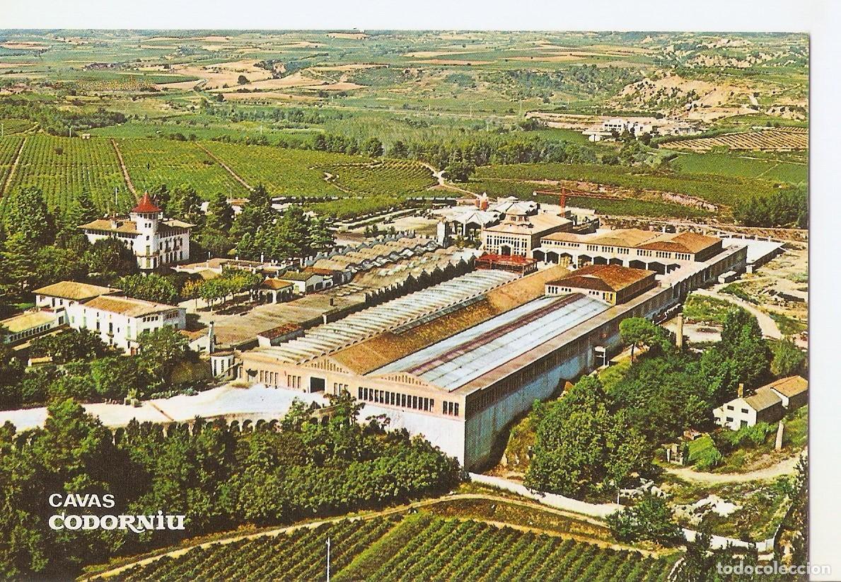 Postales: Postal 037712 : Cavas Codorniu. Exteriores - Varios