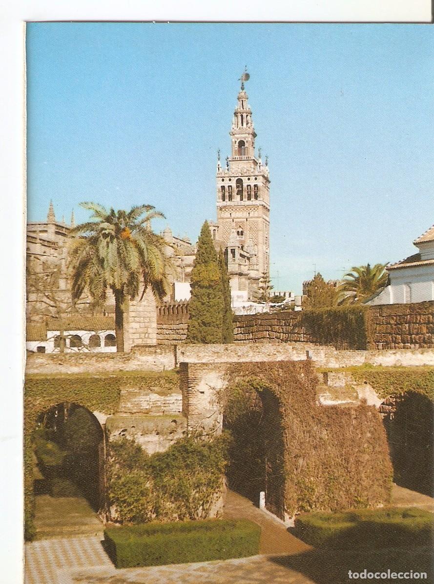 Cartoline: Postal 038022 : Sevilla el Alcazar. Patio de Monteria - Varios
