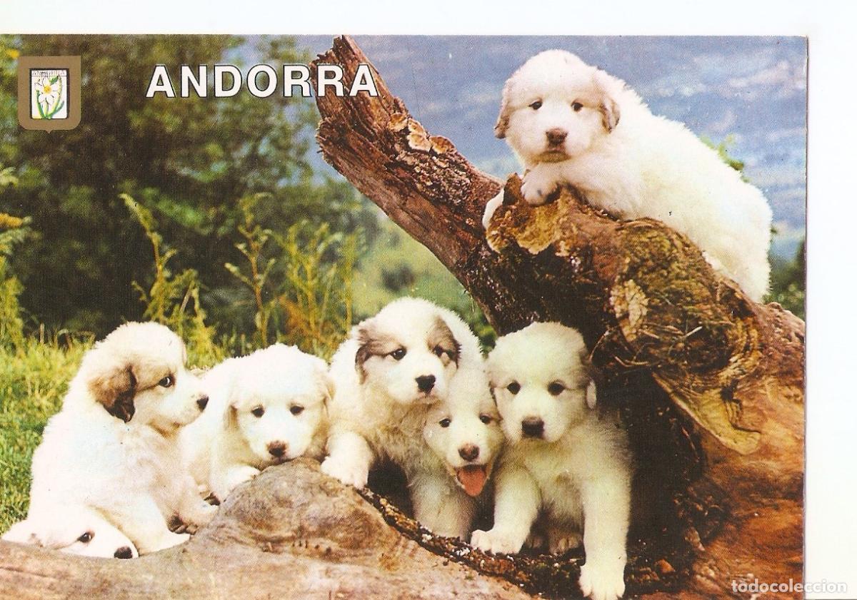 Postales: Postal 038640 : Andorra. Paisaje de monta&ntilde;a - Varios