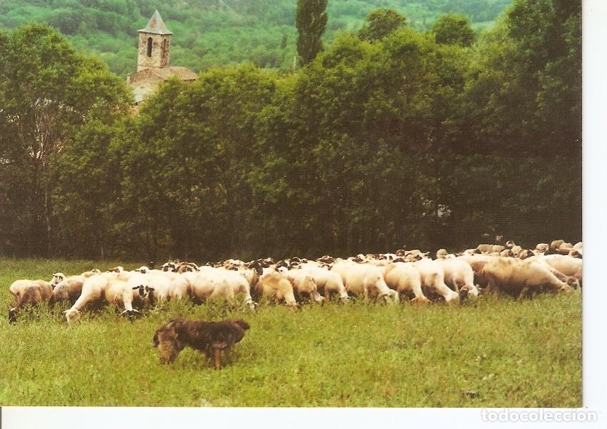 Cartoline: Postal 039587 : Meranges (Girona). La Cerdanya Pirineu Oriental. Remat de Cal Joan - Varios
