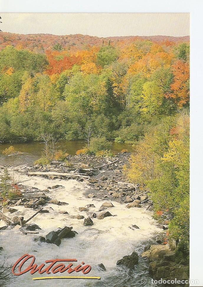 Postkarten: Postal 039697 : Ontario Ragged Falls near Algonquin Park Ontario - Varios