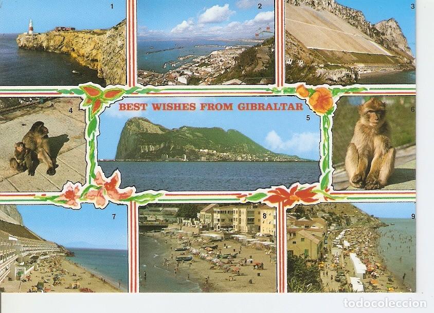 Postales: Postal 039846 : Gibraltar - Varios - Foto 1
