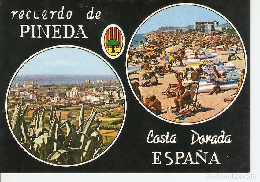 Postales: Postal 040674 : Pineda de Mar - Varios - Foto 1