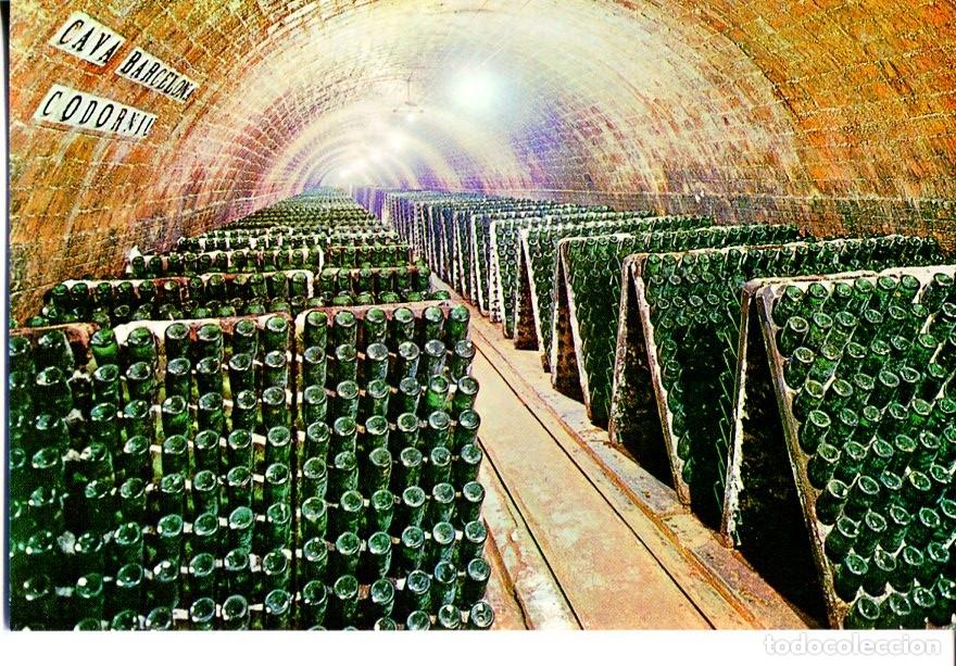 Postales: Postal 016647: CAVAS CODORNIU - Botellas en pupitre - Varios
