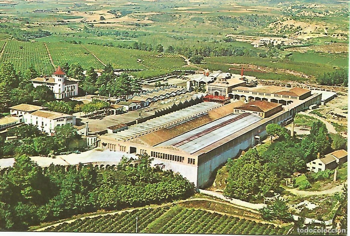 Postales: Postal 50205: CAVAS CODORNIU - Exteriores