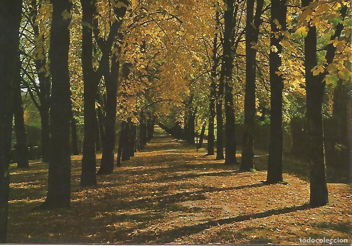 Postcards: Postal 50179: CAMPRODON - Paseo de la Font Nova