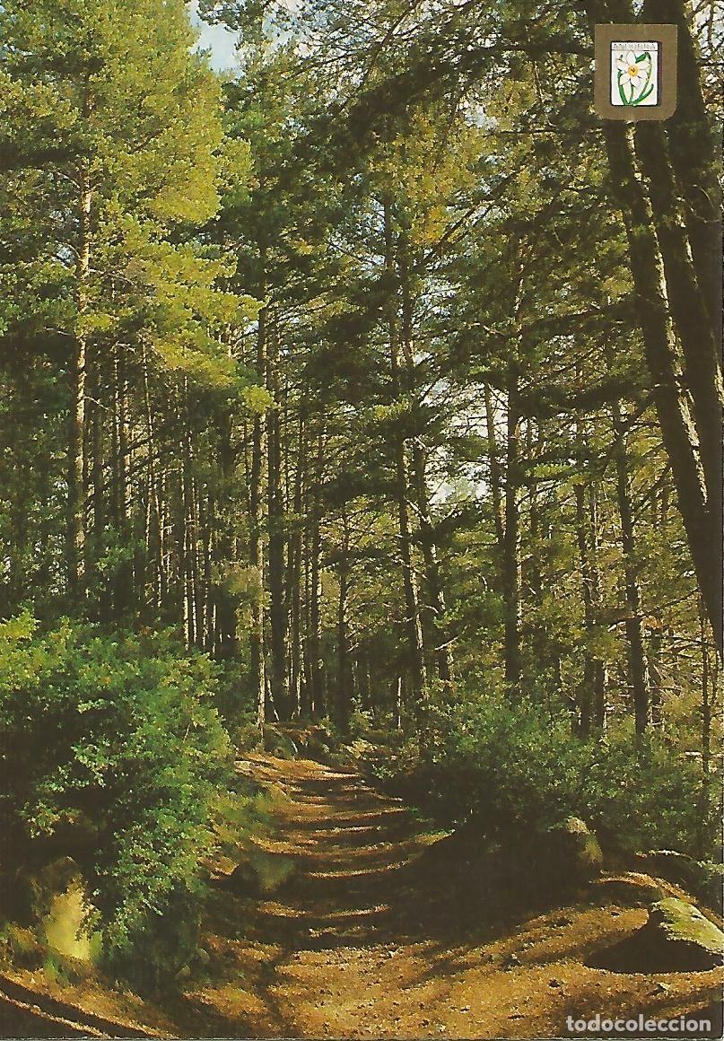 Postcards: Postal 50400: ANDORRA - Camino del Lago de Engolastres