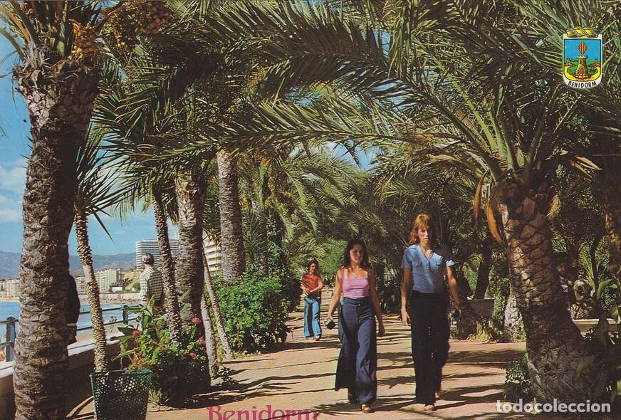 Postkarten: Postal 60076: (Benidorm Alicante) - Varios