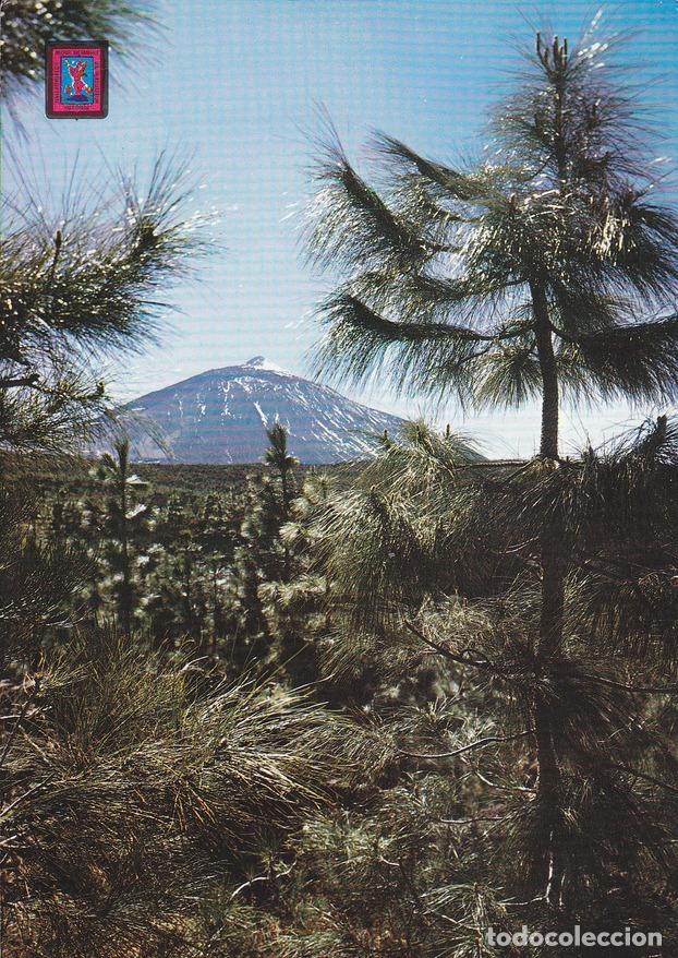 Postales: Postal 60085: El Teide (Tenerife) - Varios - Foto 1