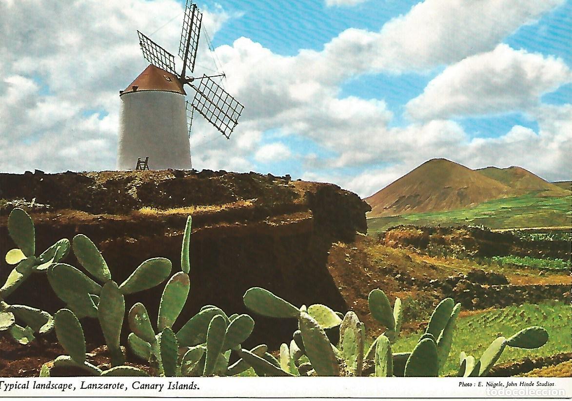 Postales: Postal 51359: LANZAROTE - Tipico rincon - Varios - Foto 1