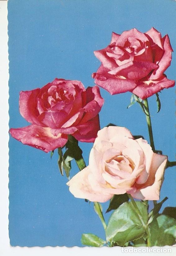Postales: Postal 041584 : Rosas - Varios - Foto 1