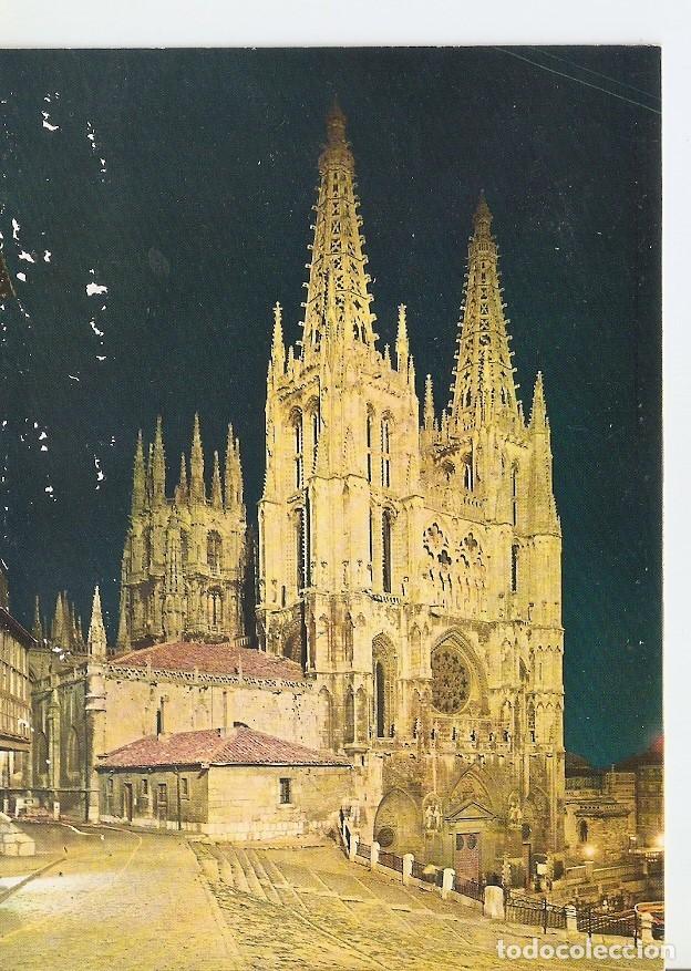Postais: Postal 043396 : Burgos. La Catedral. Nocturna - Varios