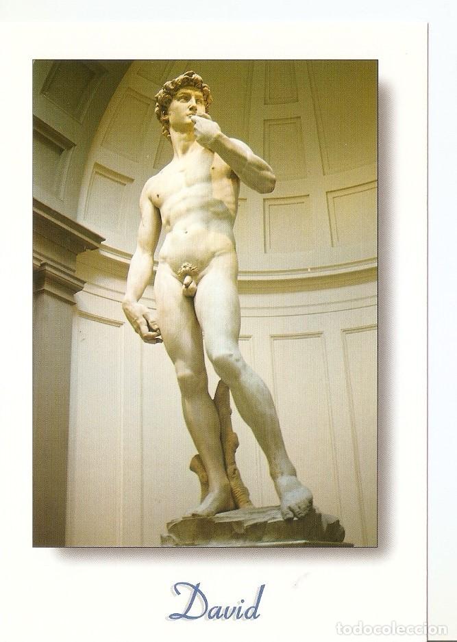 Postkarten: Postal 043994 : Firenze. Il David di Michelangelo - Varios