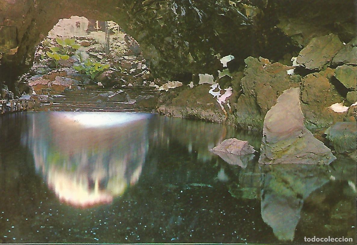 Postkarten: Postal 52294: LANZAROTE - Los jameos del agua - Varios