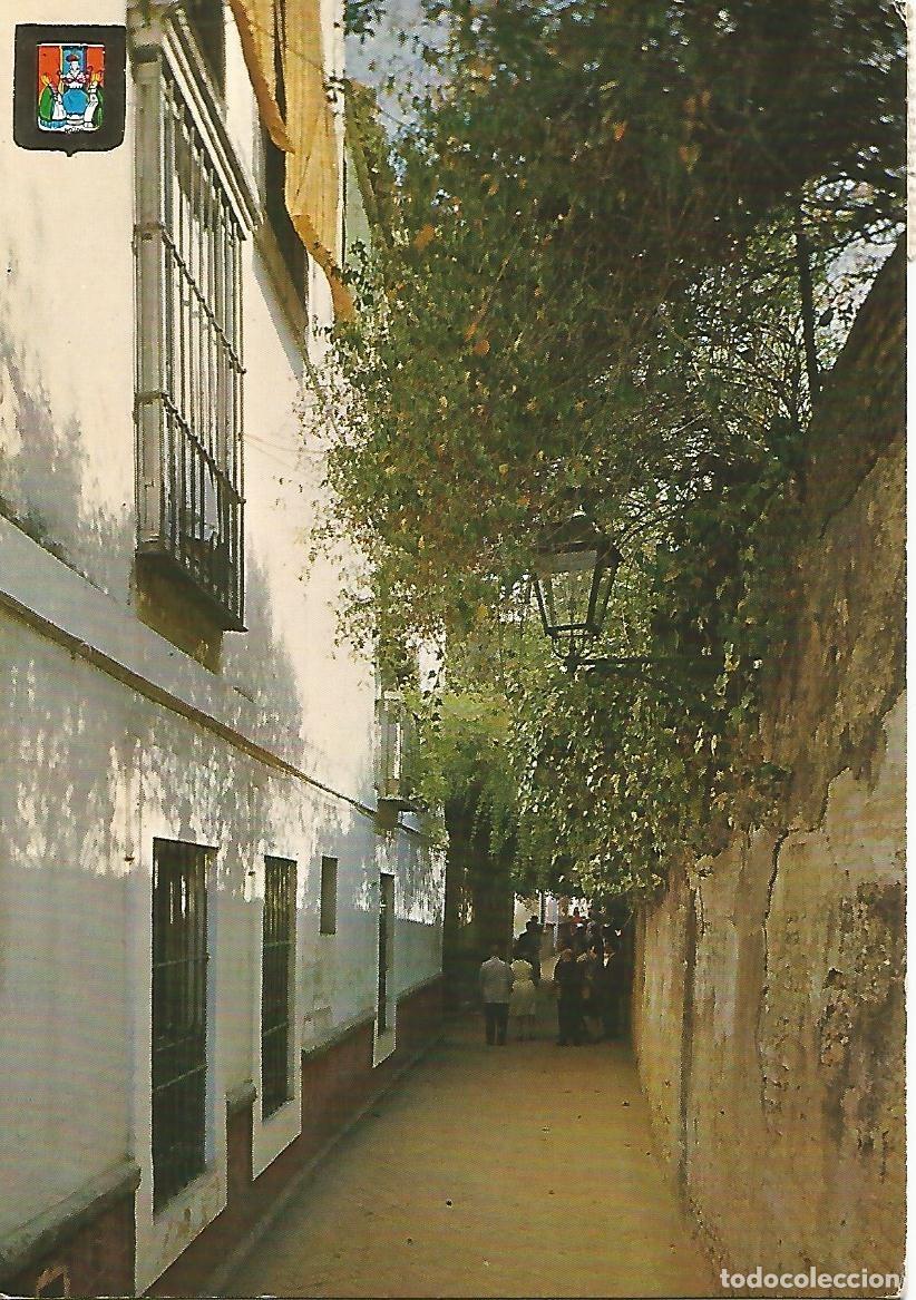Postais: Postal 52342: SEVILLA - Callejon del Agua - Varios
