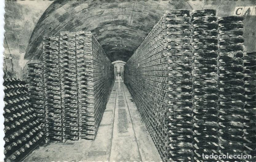Postales: Postal-Postcard 17288: CASA CODORNIU - Sant Sadurni dAnoia - Botellas en cava - Varios