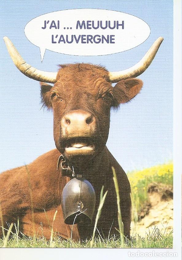 Postkarten: Postal 045342 : JAime lAuvergne - Varios