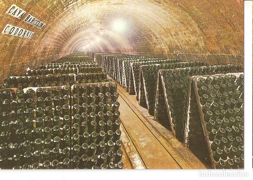 Postales: Postal 045641 : Cavas Codorniu. Botellas en pupitre - Varios