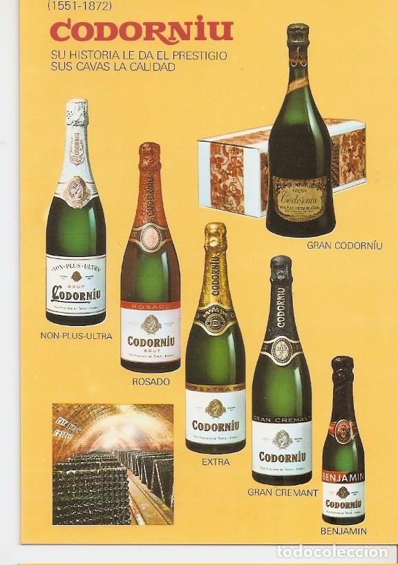 Postales: Postal 045638 : Codorniu - Varios