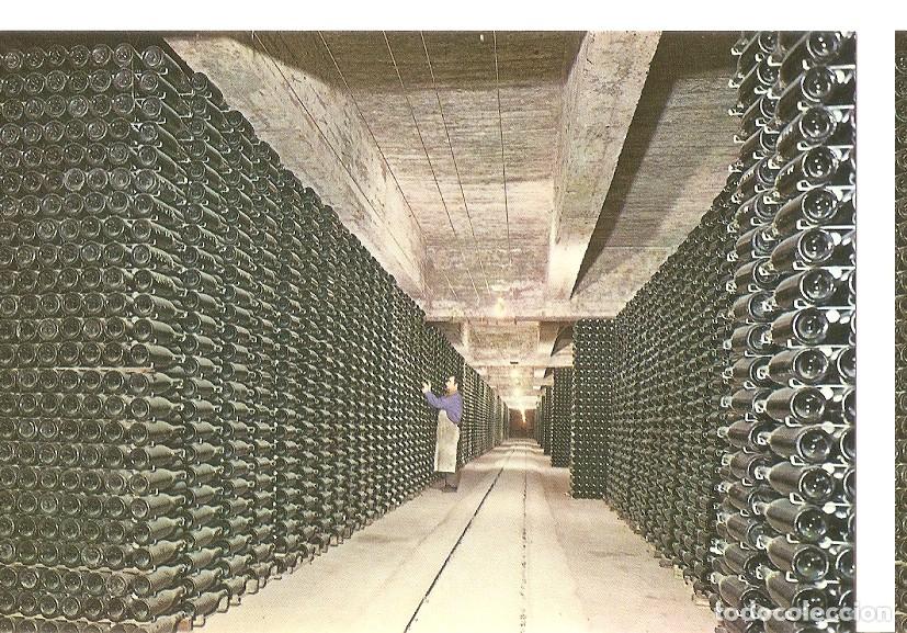 Postales: Postal 045640 : Cavas Codorniu. Botellas envejeciendo - Varios