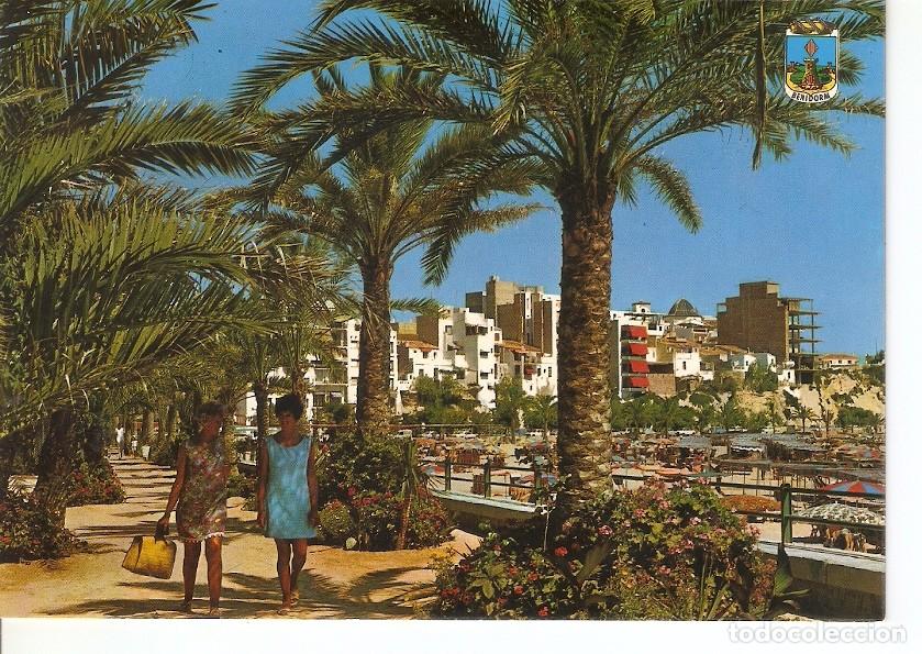 Postales: Postal 045843 : Benidorme (Espa&ntilde;a). Parque de Colon - Varios