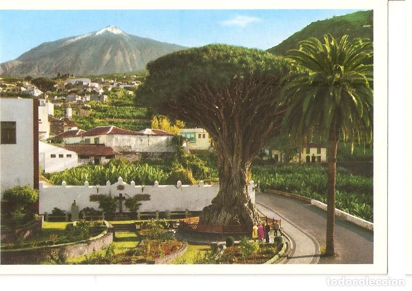 Postales: Postal 046406 : Icod de los Vinos. Tenerife - Varios