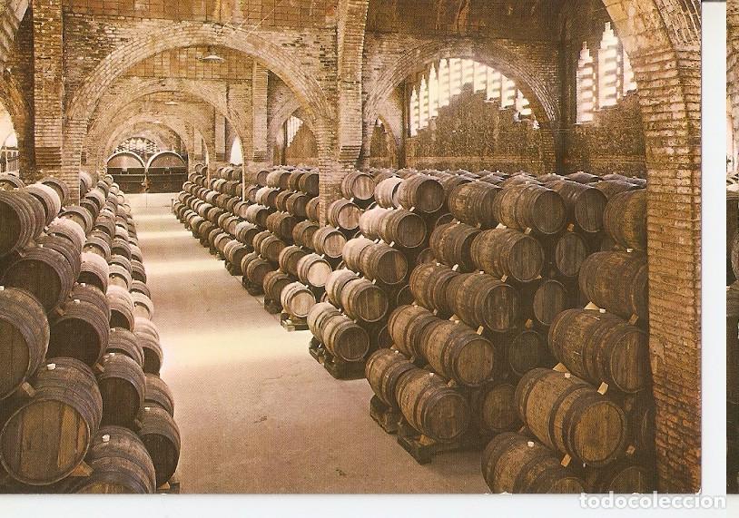 Postales: Postal 046656 : Cavas Codorniu. Una bodega - Varios