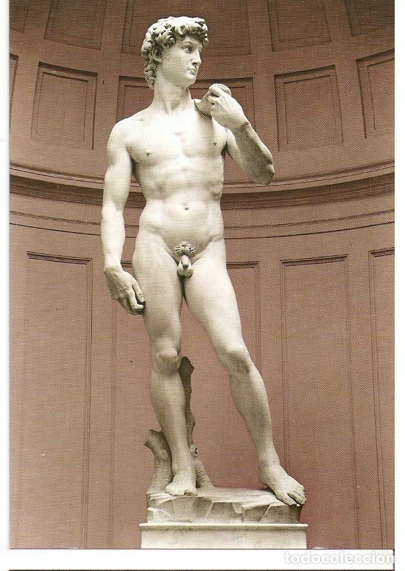 Postales: Postal 046671 : Firenze. David del Michelangelo - Varios - Foto 1