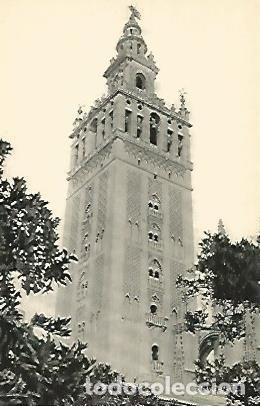 Postales: POSTAL 52819: LA GIRALDA. SEVILLA - Varios - Foto 1